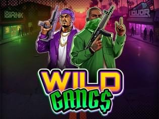 Wild Gangs thumbnail